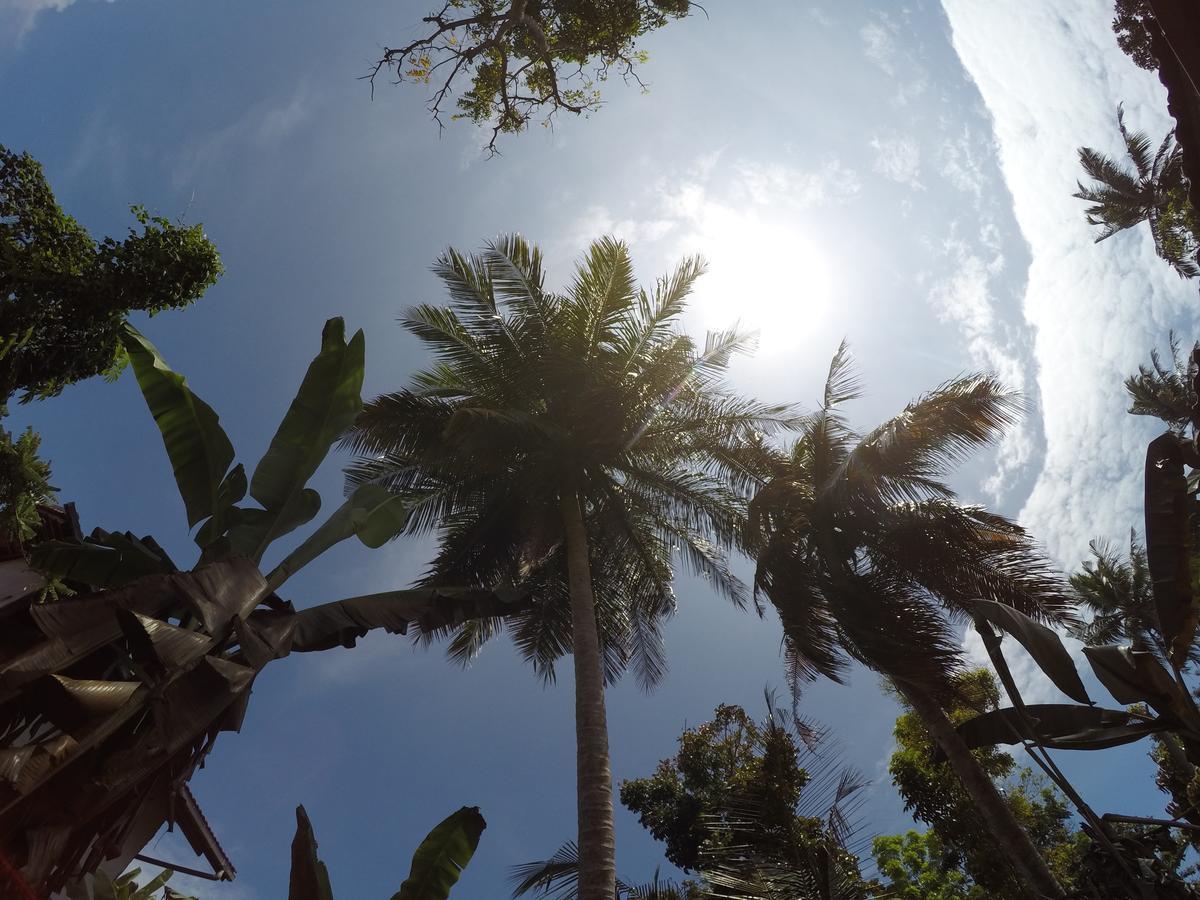 Bimanjee Mango Resort Matara Zewnętrze zdjęcie